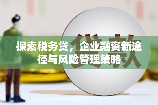 北流探索税务贷，企业融资新途径与风险管理策略