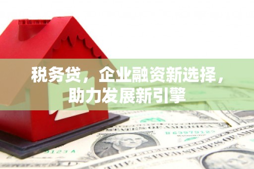 北流税务贷，企业融资新选择，助力发展新引擎