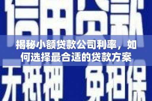 北流揭秘小额贷款公司利率，如何选择最合适的贷款方案