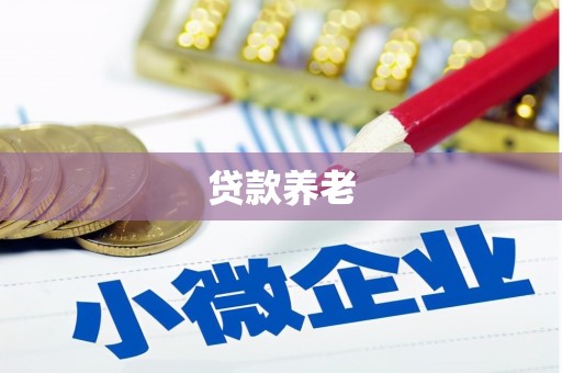 北流贷款养老