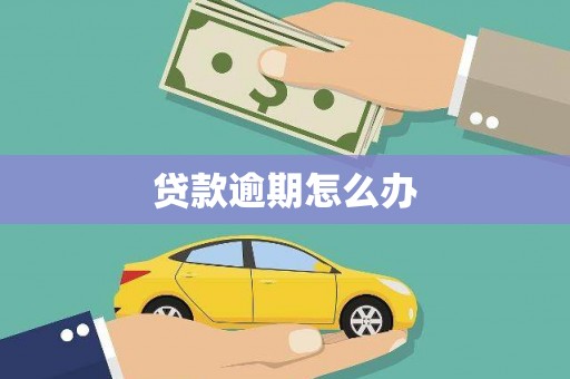 北流贷款逾期怎么办