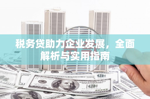 北流税务贷助力企业发展，全面解析与实用指南