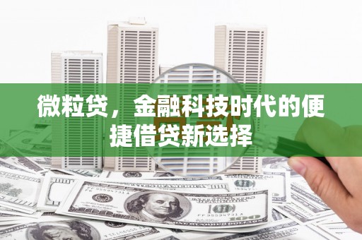 北流微粒贷，金融科技时代的便捷借贷新选择