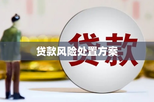 北流贷款风险处置方案